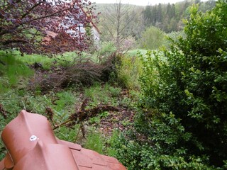 Blick in den Garten