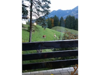 Blick vom seitlichen Wohnzimmerfenster