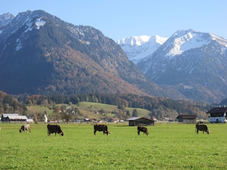 Ca.15 Min. Fußweg vom Haus