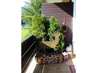 Unser Hirsch