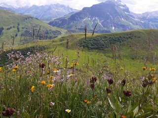 Wunderschön! Nähe Widdersteinhütte
