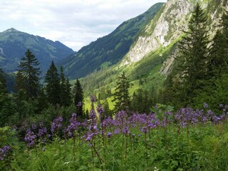 Im Bärgundtal/Kleinwalsertal