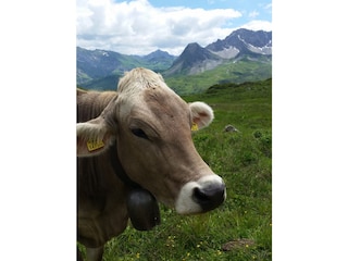 Bei der Widdersteinhütte