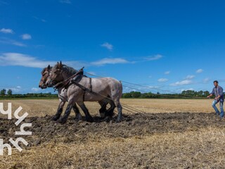 Casa per le vacanze Oostkapelle Ambiente 25