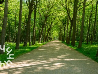Vakantiehuis Oostkapelle Omgeving 27