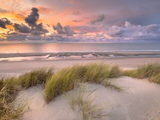 Apartment Bergen aan Zee Umgebung 15