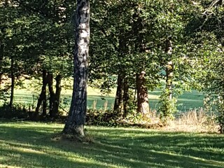 Appartamento per vacanze Bad Berleburg Registrazione all'aperto 4
