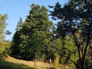 Apartamento de vacaciones Bad Berleburg Grabación al aire libre 5