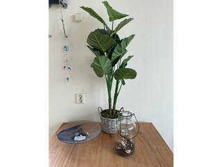 Casa per le vacanze Ermelo Caratteristiche 20