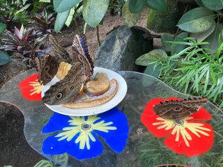 Casa per le vacanze Ermelo Ambiente 39