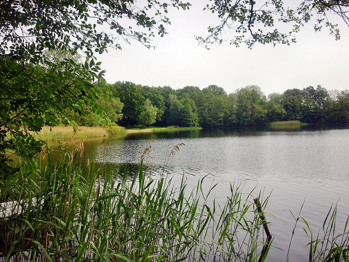 Ferienhaus Zum Eichkater am Dümmer See, Perlin, Herr Gert Fähnrich