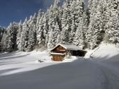 herrliche Lage in einer gorßen Waldlichtung