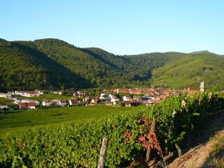 Appartamento per vacanze Kaysersberg Documento 24