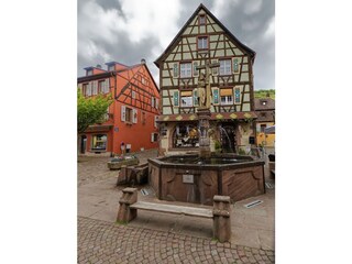 Holiday apartment Kaysersberg Features 17