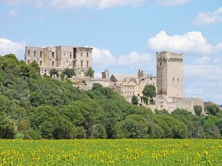 Vakantiehuis Arles Omgeving 22