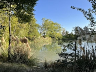 Maison de vacances Arles Environnement 26