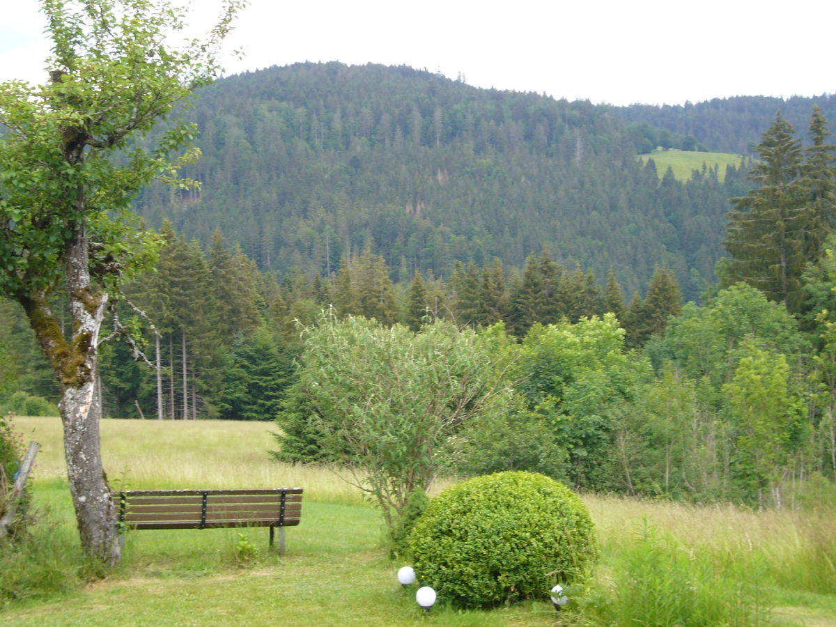 Blick zum Glaserberg