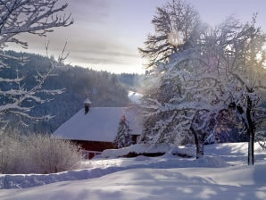 Ferienwohnung Haus Silvia - Todtmoos - image1