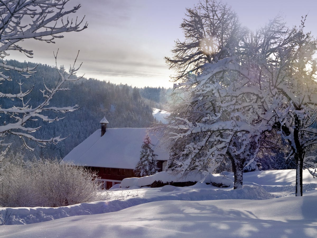 Winter in Schwarzenbach