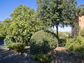 Appartamento per vacanze Saint-Florent Registrazione all'aperto 4