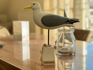 Silbermöwe