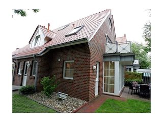 Die Lachmöwe von außen