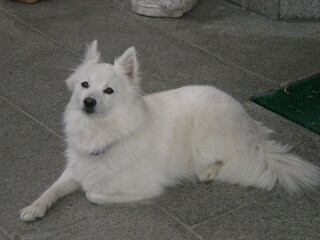 Appartamento per vacanze St. Lorenzen im Pustertal Ambiente 20