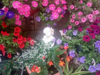 Appartamento per vacanze St. Lorenzen im Pustertal Registrazione all'aperto 8