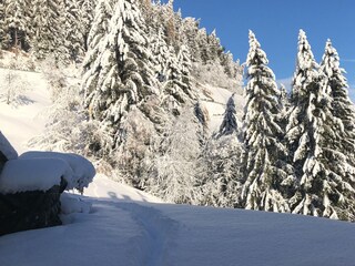 Appartamento per vacanze St. Lorenzen im Pustertal Registrazione all'aperto 9