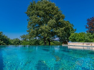 Ein idyllischer Pool