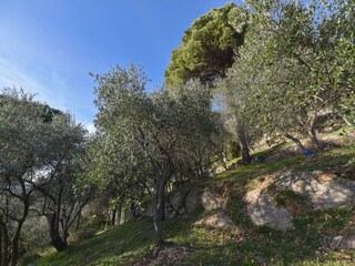 Villa Rapallo Registrazione all'aperto 7