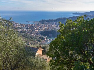 Villa Rapallo Environnement 32