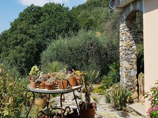 Villa Rapallo Registrazione all'aperto 1