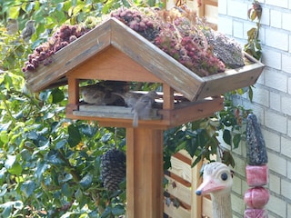 Gartenbesucher