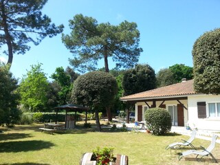 Gartenbereich