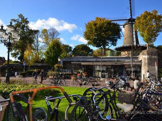 Casa per le vacanze Bergen (Holland) Ambiente 20