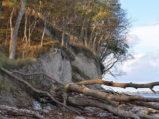 Ferienhaus Katharinenhof Außenaufnahme 28