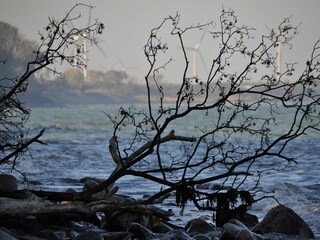 Ferienhaus Katharinenhof Außenaufnahme 29
