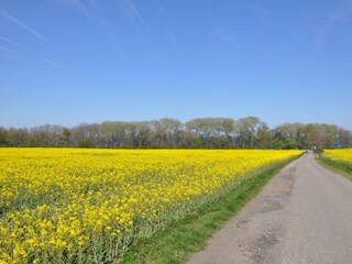 Ferienhaus Katharinenhof Außenaufnahme 30