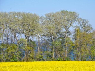 Ferienhaus Katharinenhof Außenaufnahme 31