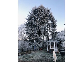 Blick von der Küche in den Garten