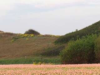 Appartamento Julianadorp Ambiente 18