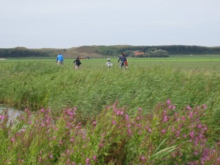 Appartamento Julianadorp Ambiente 20