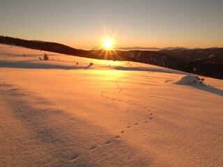 Chalet Falkertsee Omgeving 33