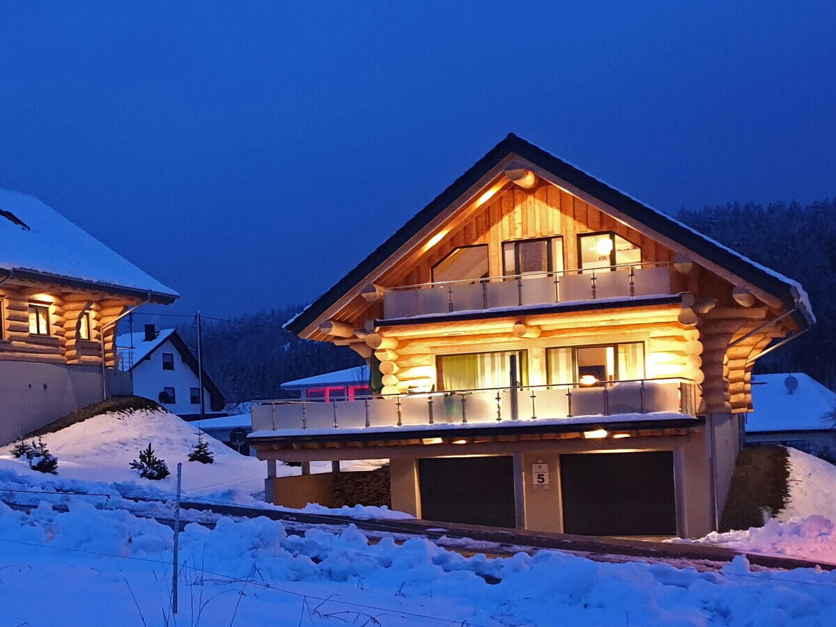 Log Home in Winter