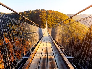 Suspension bridge Geierlay
