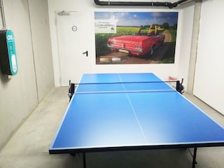 Tischtennisplatte