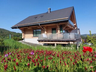 Vakantiehuis Langweiler Buitenaudio-opname 4