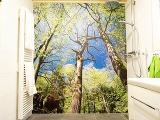 Apartamento de vacaciones Langweiler Características 9