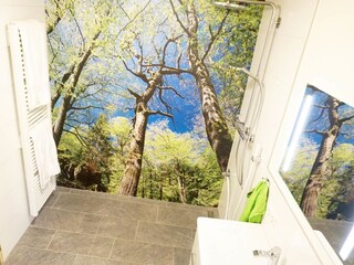 Casa per le vacanze Langweiler Caratteristiche 18